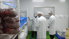 市市场监管局加强食物出产平安监管守护节日“